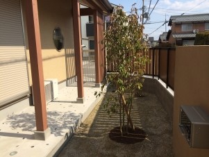 ��ʪ�Ȱ��δ��Τ��볰��-4
