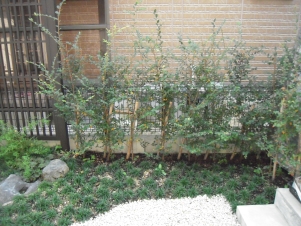 (2)